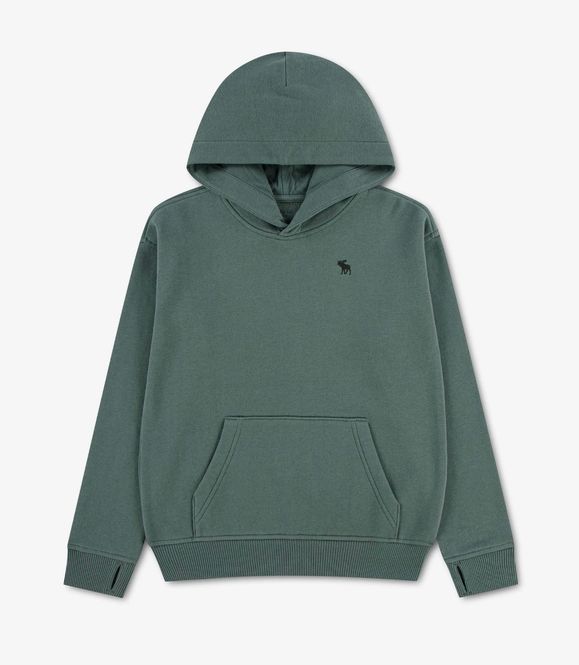 Hovedbilde Abercrombie Hettegenser essential chest logo ...