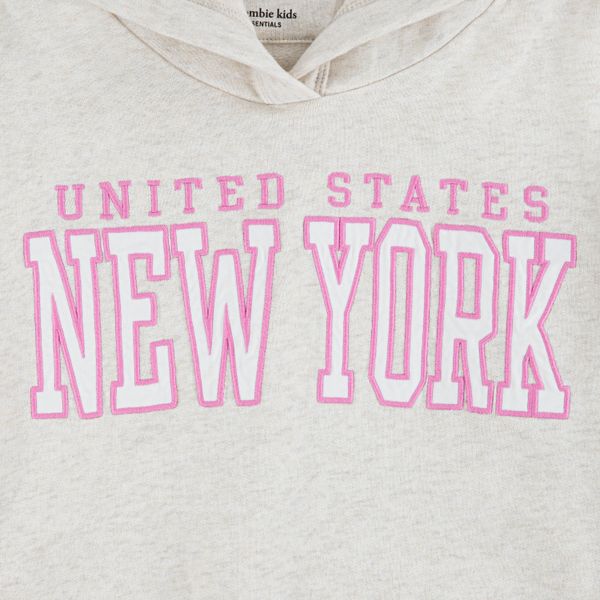 Hovedbilde Abercrombie Hettegenser New York oatmeal